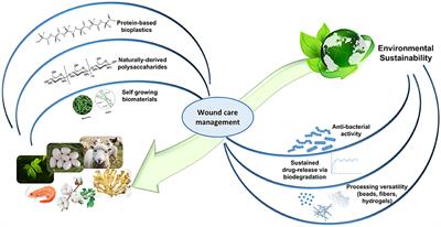 Borrowing From Nature: Biopolymers and Biocomposites as Smart <mark class="highlighted">Wound Care</mark> Materials